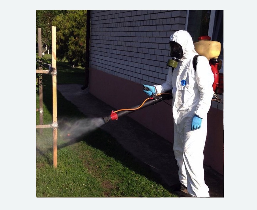 уничтожение клещей на участке травля клещей на участке в Бабаево