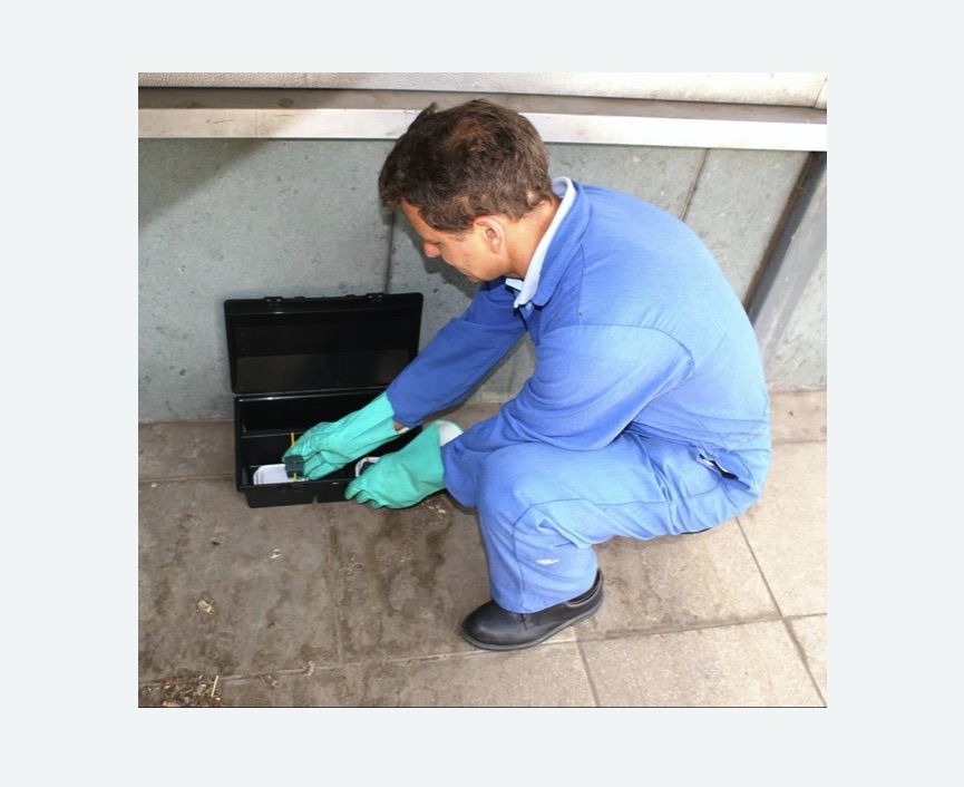 Уничтожение мышей в Бабаево Уничтожение мышей