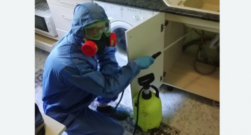 Уничтожение муравьев в квартире. Бабаево