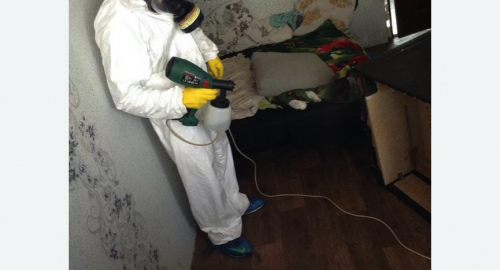 Обработка квартир от насекомых в Бабаево