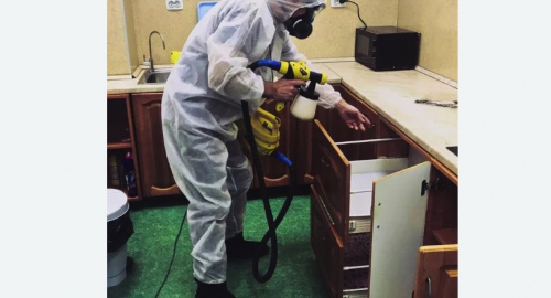 Дезинсекция квартиры. Бабаево