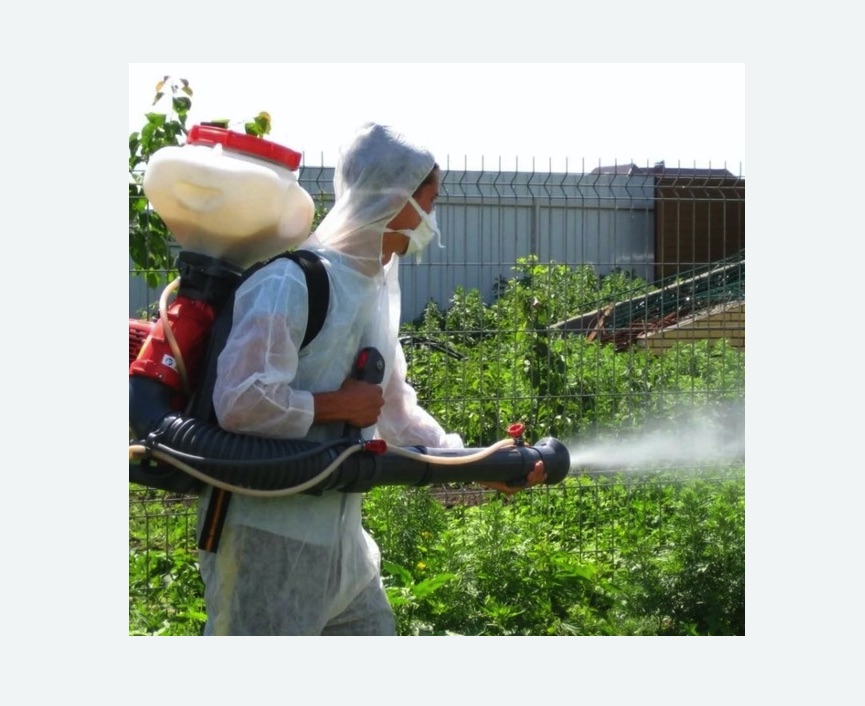 Акарицидная обработка территории в Бабаево