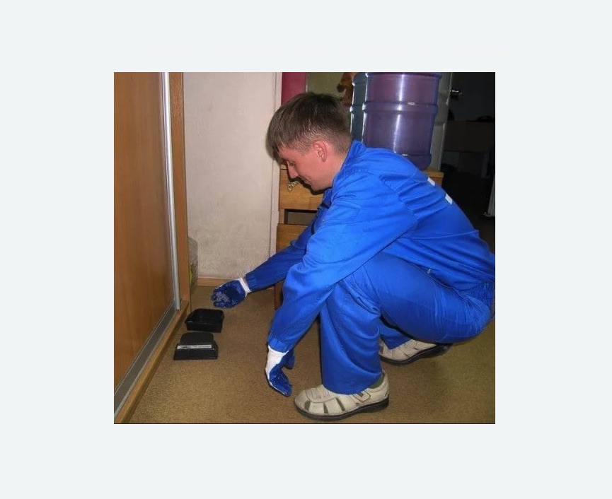 Дератизация крыс Дератизация крыс в Бабаево