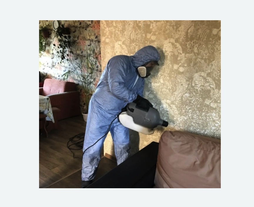 Уничтожение блох в квартире. Бабаево Уничтожение блох в квартире