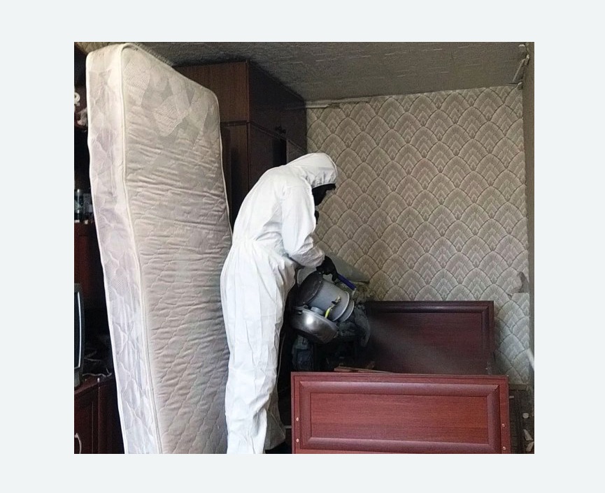 дезинфекция от клопов в Бабаево