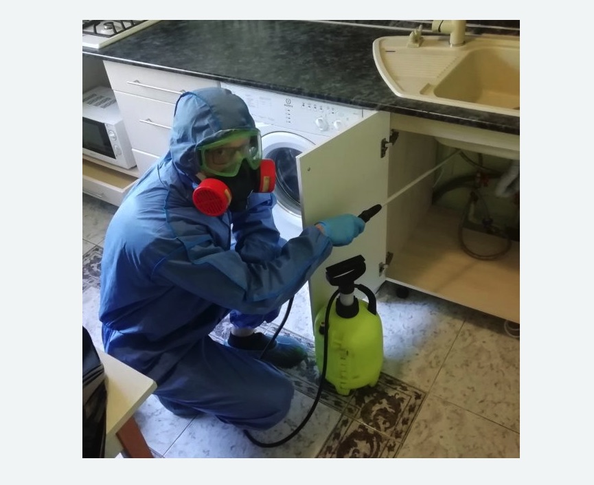 обработка от муравьев в квартире обработка от муравьев в квартире в Бабаево