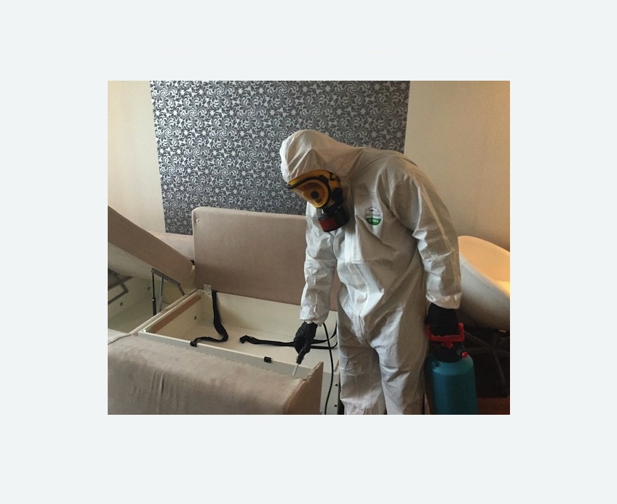 уничтожение клопов в квартире в Бабаево