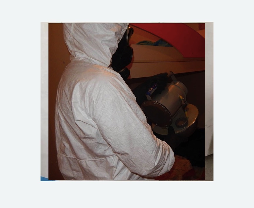 Дезинфекция от муравьев Дезинфекция от муравьев в Бабаево