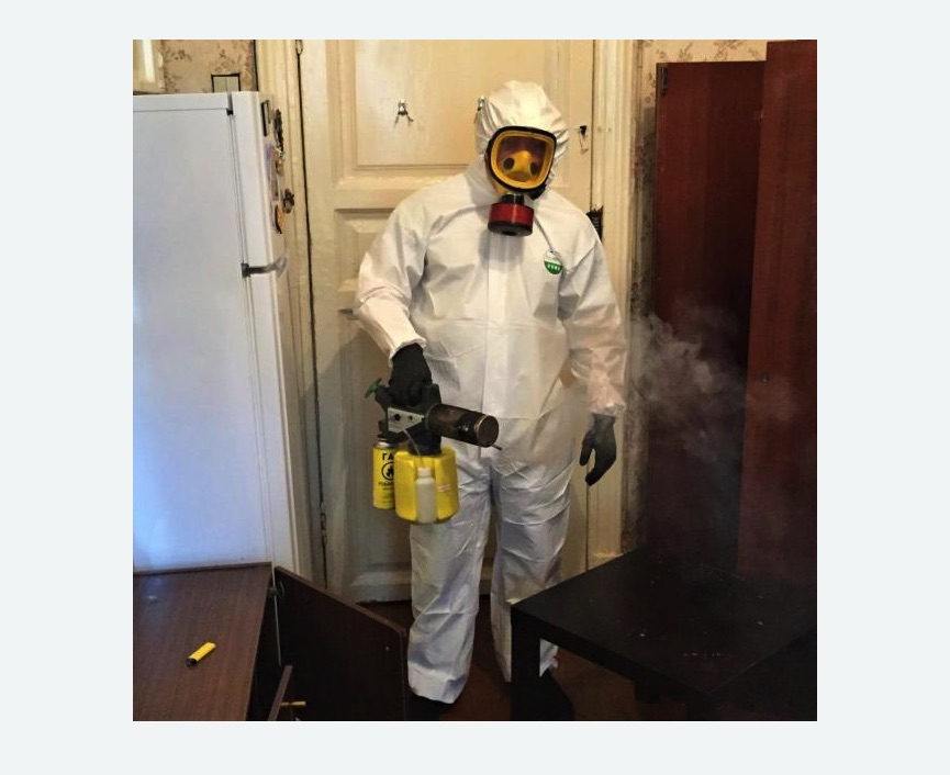 уничтожение муравьев в квартире уничтожение муравьев в квартире в Бабаево